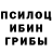 Псилоцибиновые грибы Magic Shrooms King Tolba