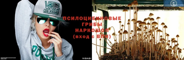 гашик Алзамай