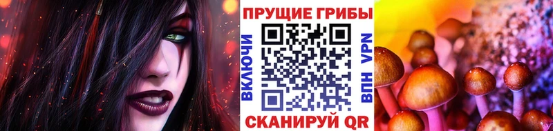 Псилоцибиновые грибы GOLDEN TEACHER  ссылка на мегу tor  Слободской 